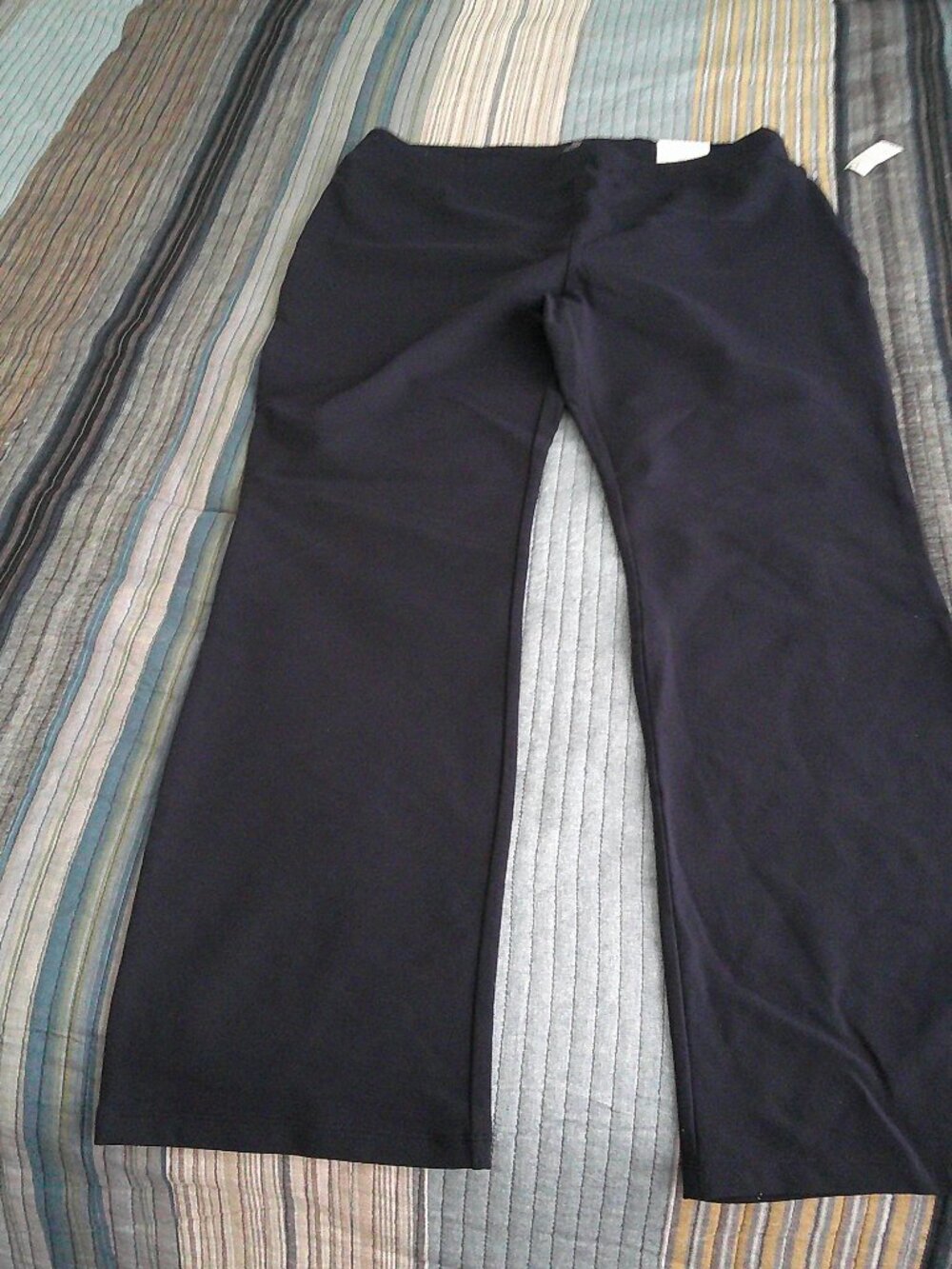 T By Talbots Blue Bootleg pants with back zippered pocket  Size L NWT
